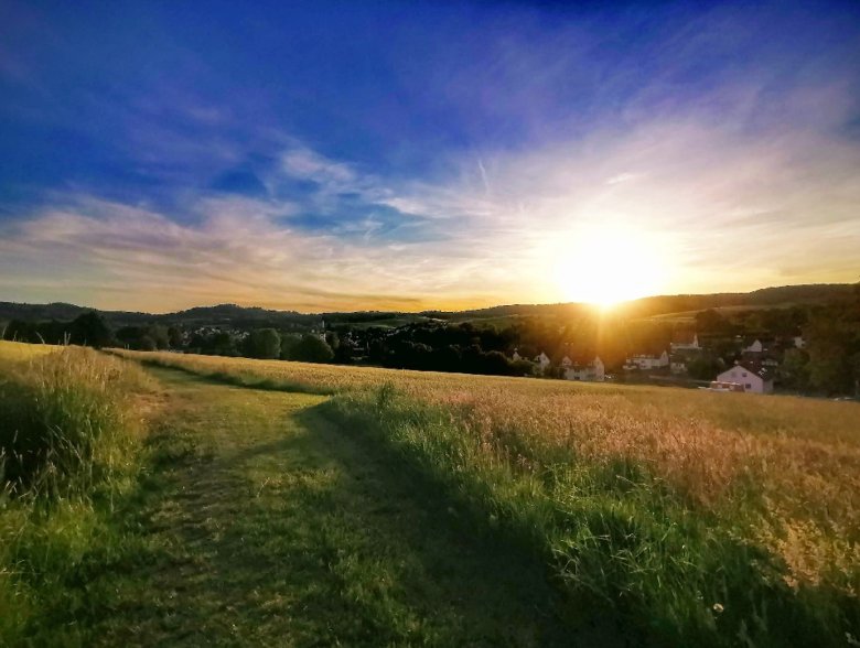Sonnenuntergang, grasbewachsener Wanderweg