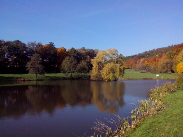 Sicht auf den Osterteich in Oberaula mit Bäumen im Herbst